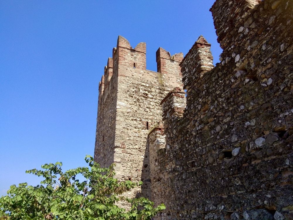 Фотография автора Gala Timaeva