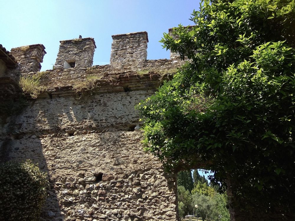 Фотография автора Gala Timaeva