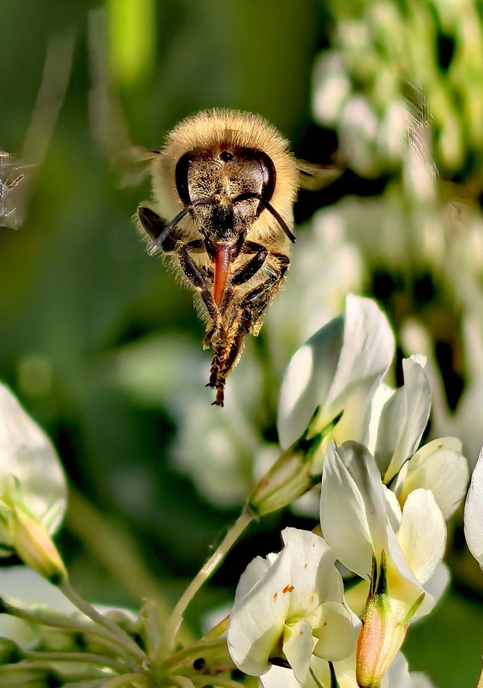 Photograph by Анна Епанчинцева