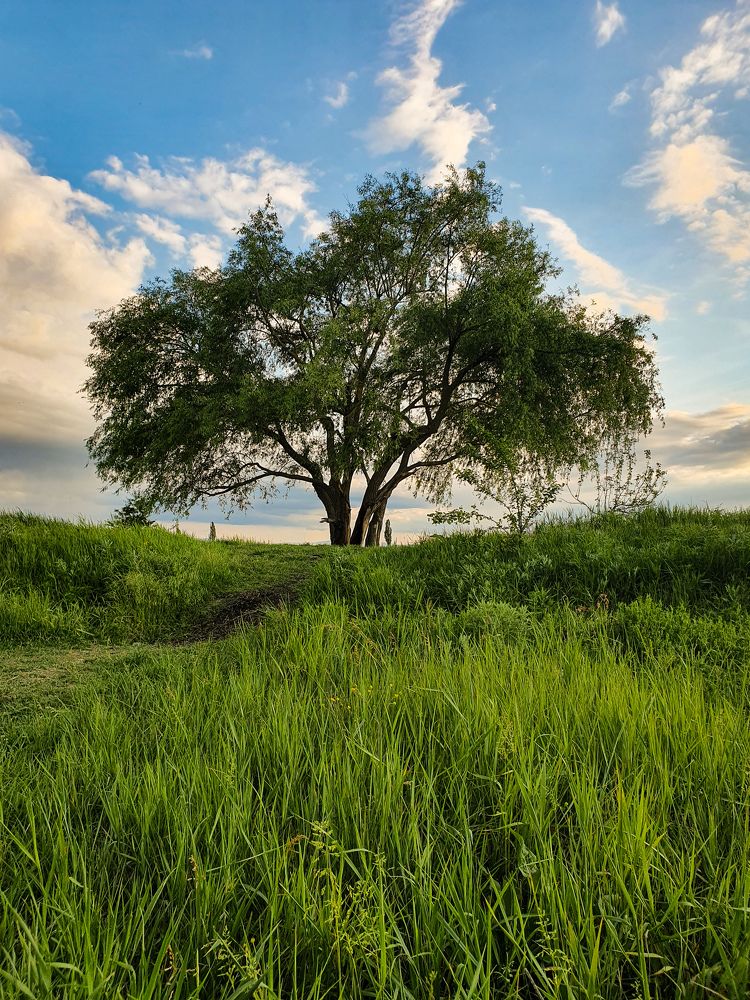 Photograph by Анастасия Трофимовская