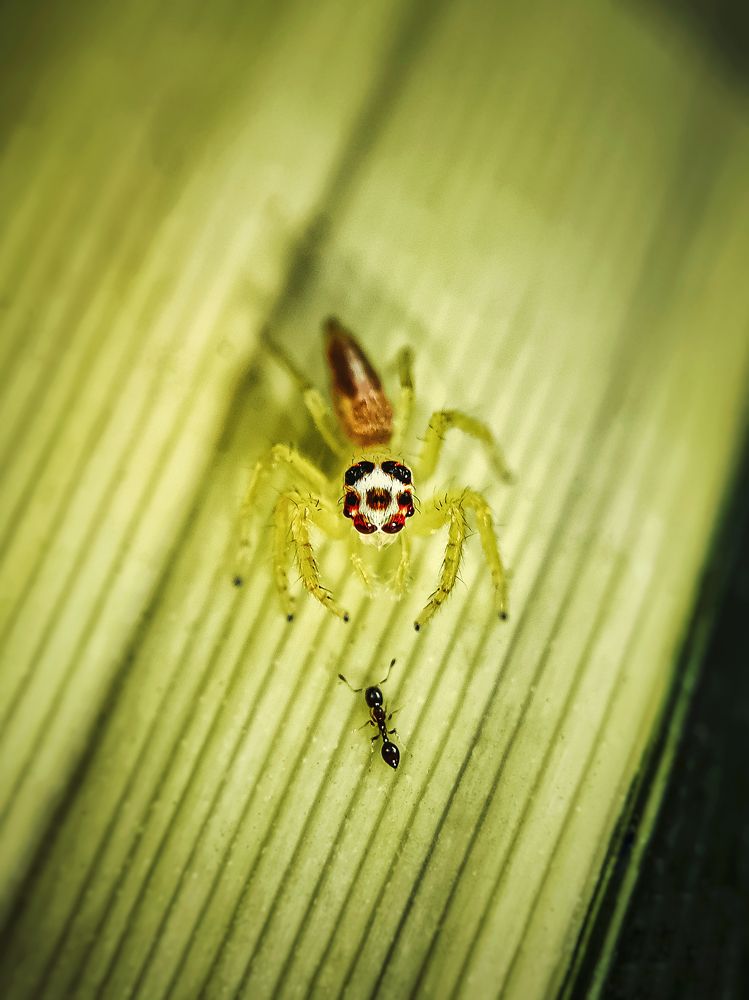 Photograph by Aaron R S