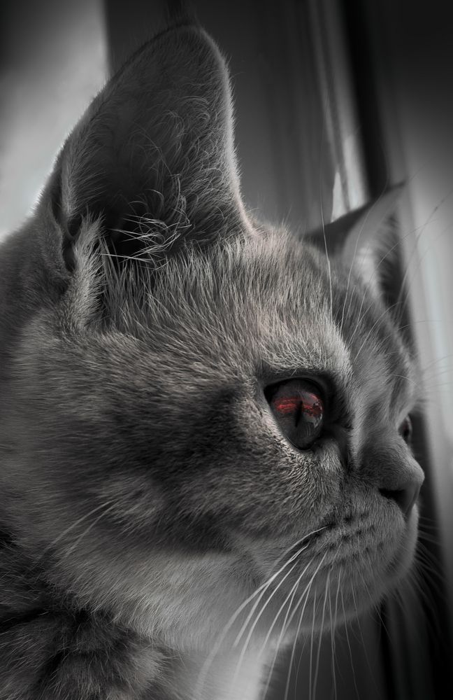 Photograph by Dina Garipova