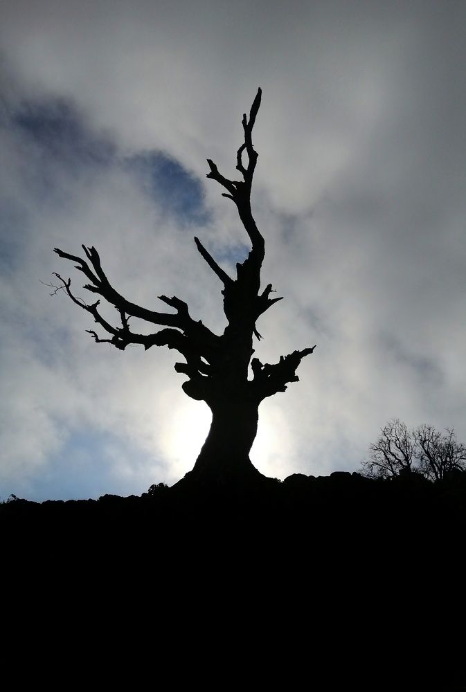 Photograph by Sina Saadati
