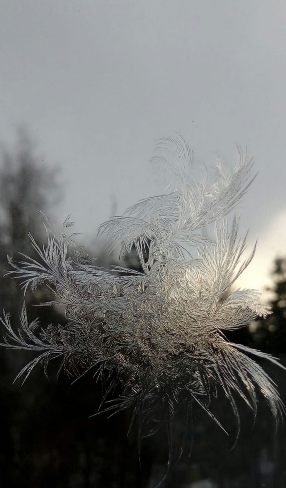 Photograph by Olga Александрова