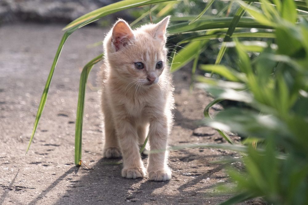 Photograph by Александр Стрельченко