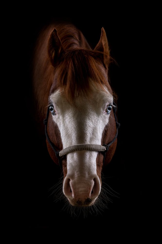 Photograph by Zsuzsanna Kata Fürstné Horváth