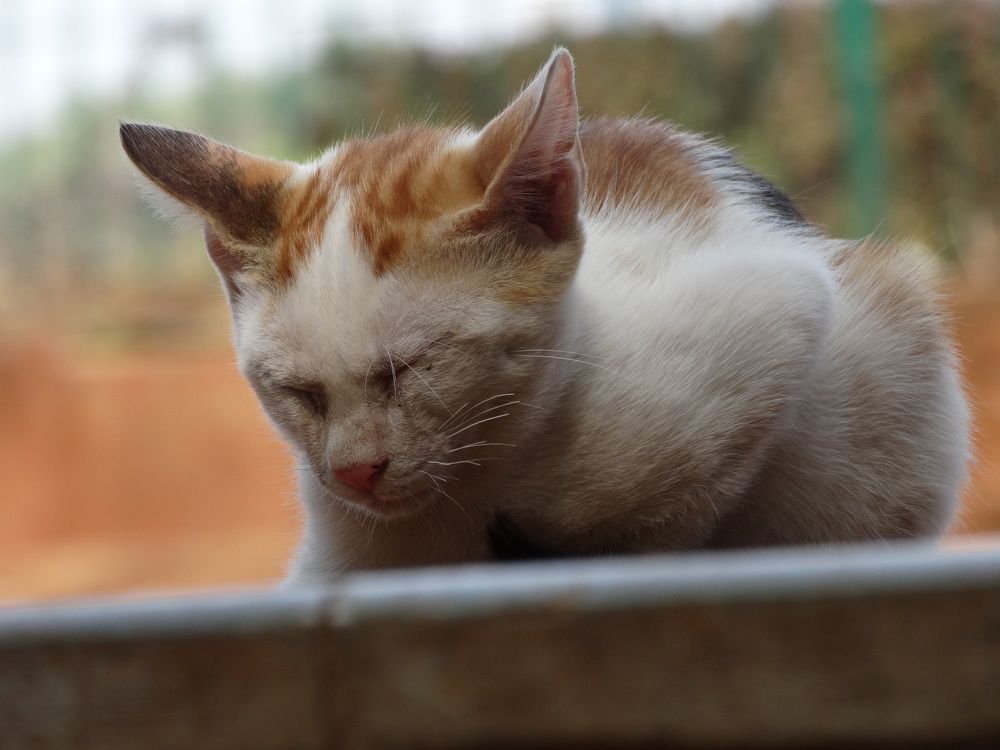 Photograph by Виктор