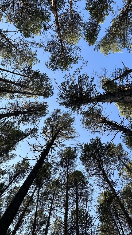 Photograph by Екатерина