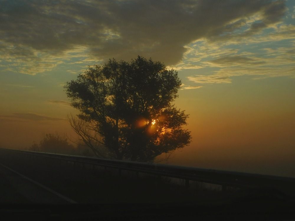 Photograph by Данила Аваргин