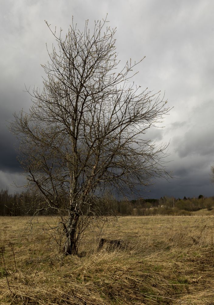 Photograph by Ольга Андрианова