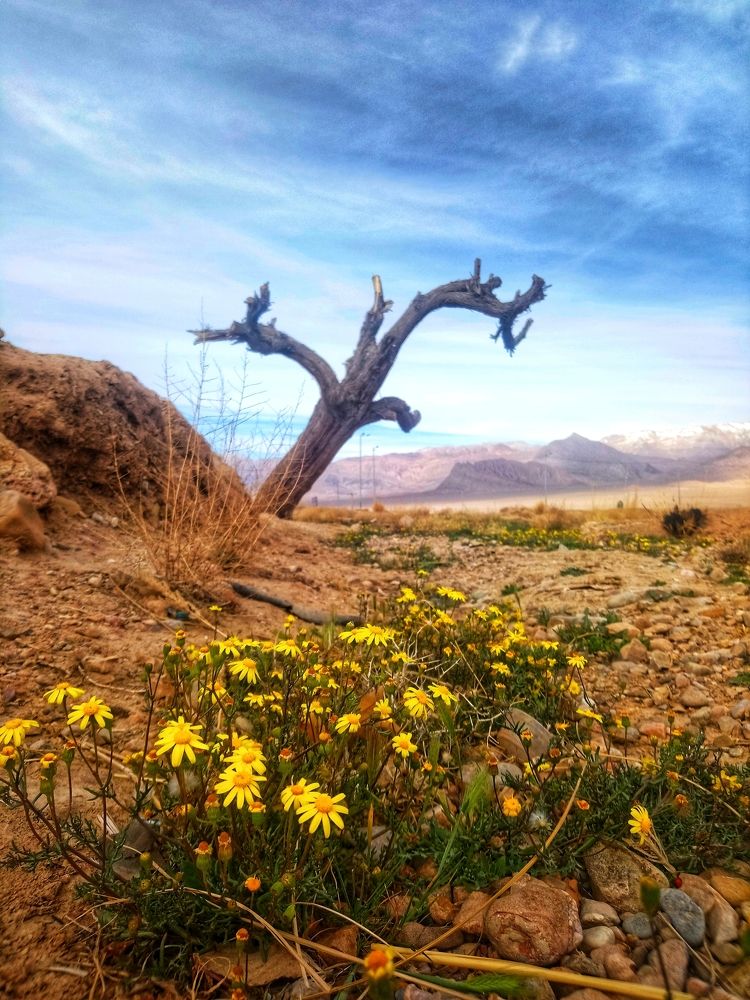 Photograph by Sina Saadati
