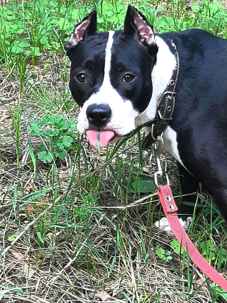 Photograph by Olga Александрова