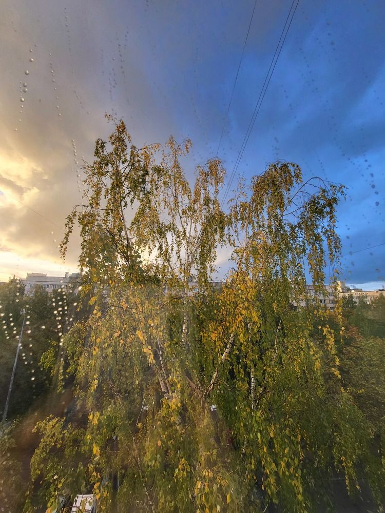 Photograph by Ольга Андрианова