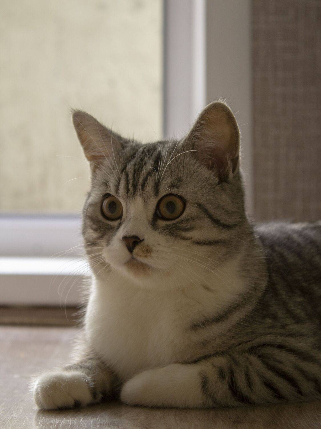 Photo #10693563