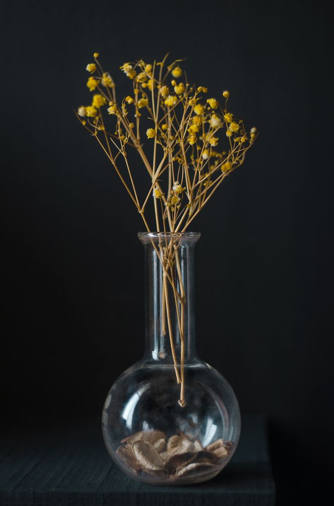 Photograph by Александр Соколович