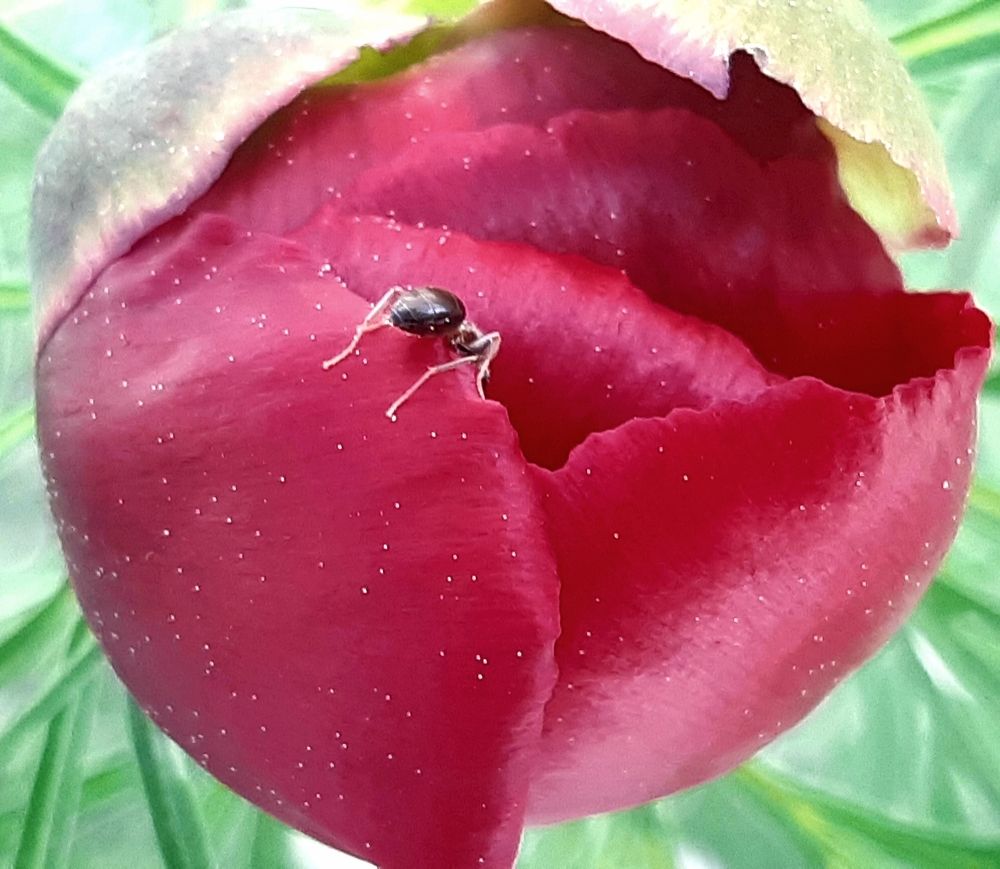 Photograph by Olga Александрова