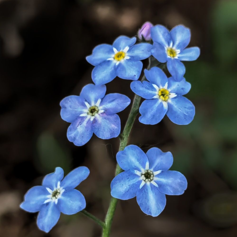 Photograph by Юрий Полушин