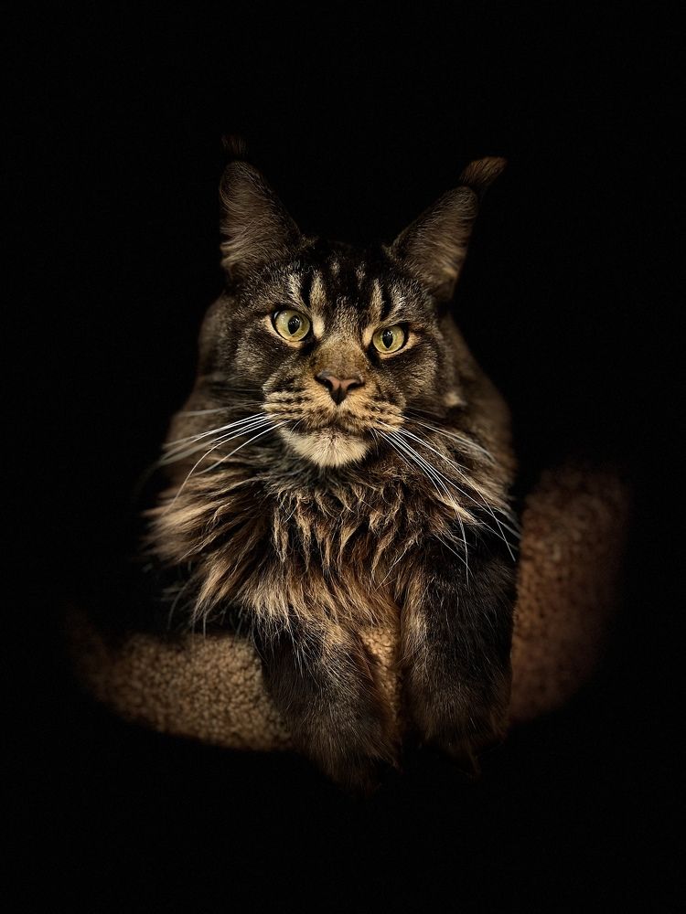 Photograph by Алена Жирова