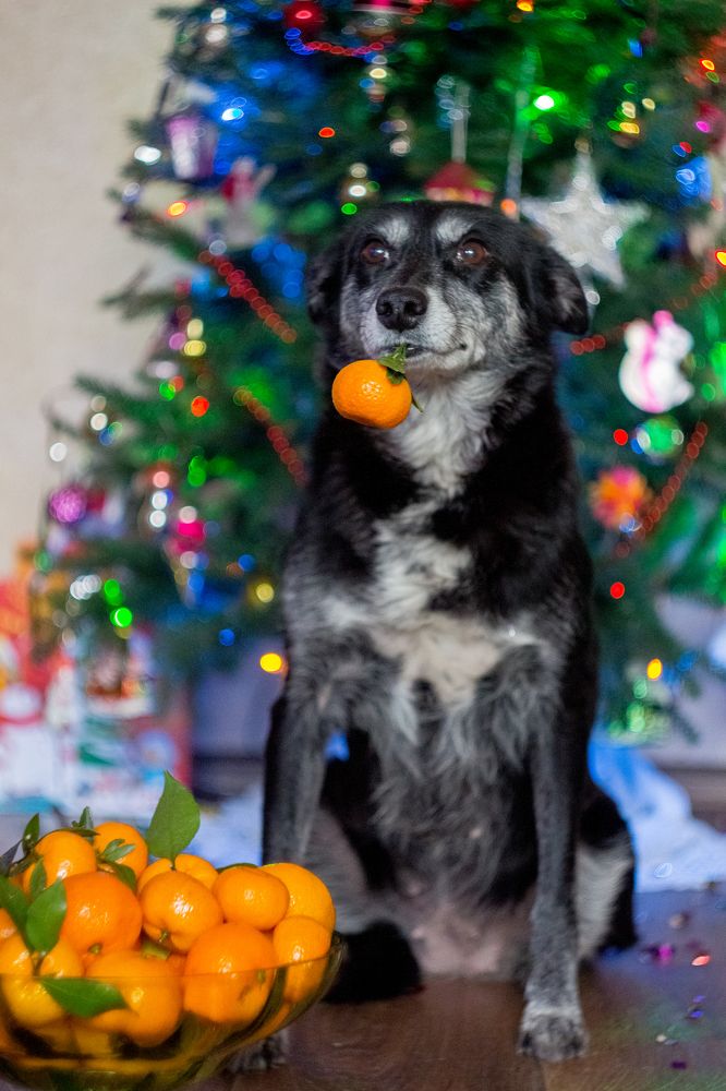 Photograph by Майя Терёшина