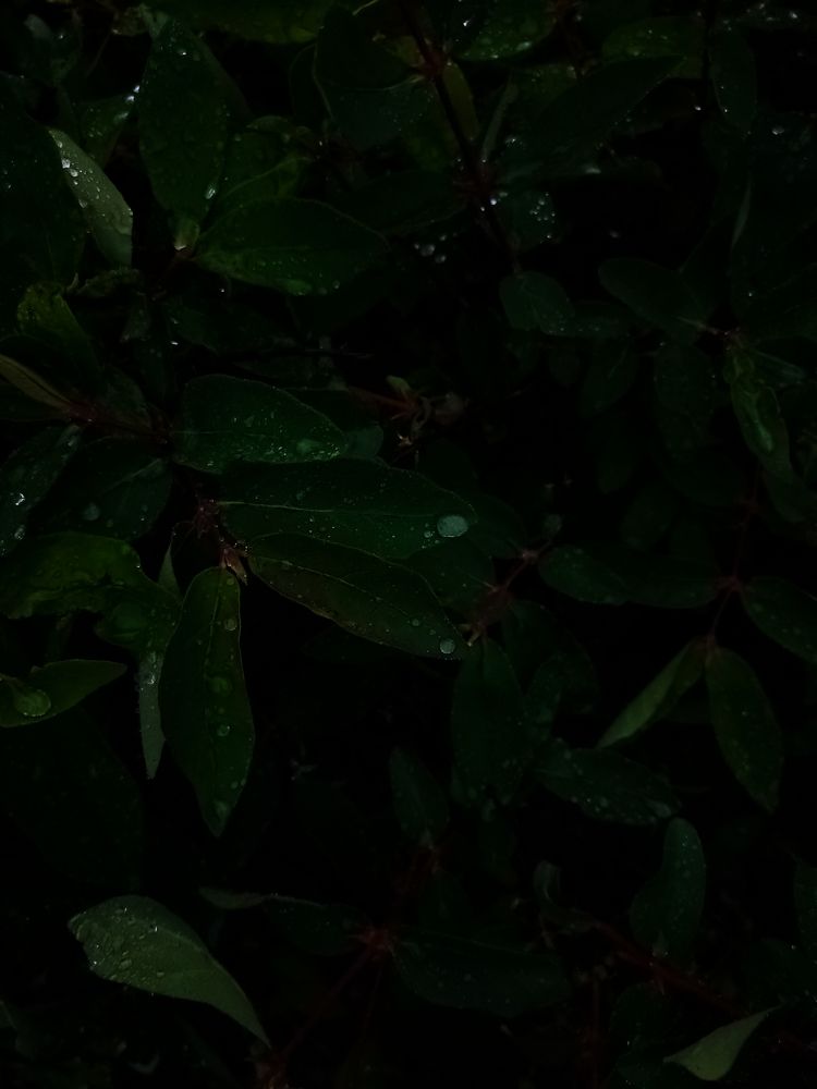 Photograph by Полина Коннова