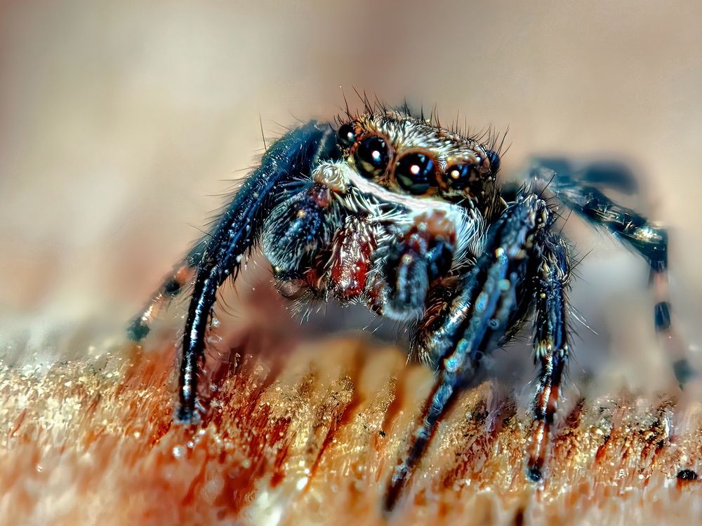 Photograph by Кузнецов Дмитрий