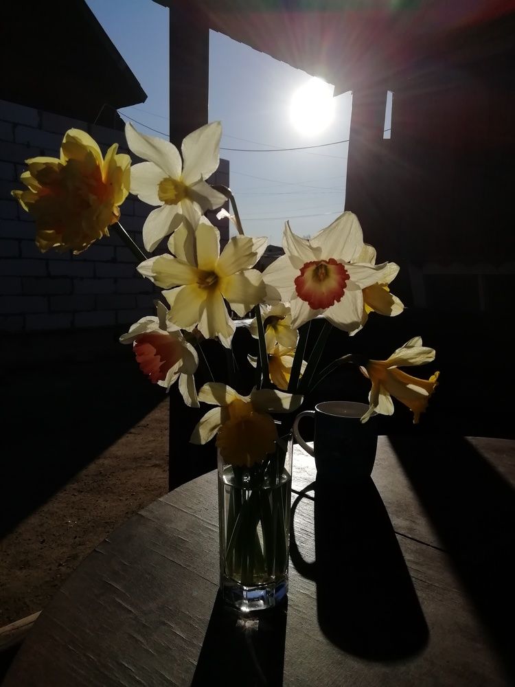 Photograph by Наталья Михайлова