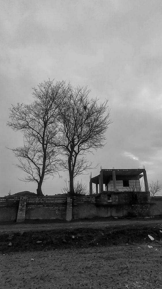 Photograph by mahdi ghanbari