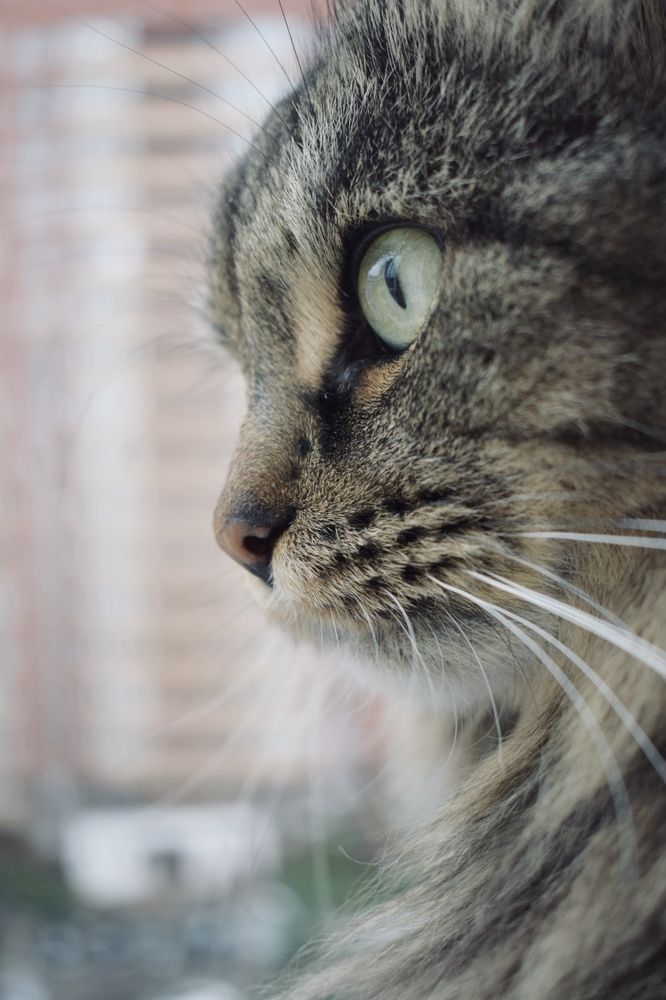 Photograph by Анна