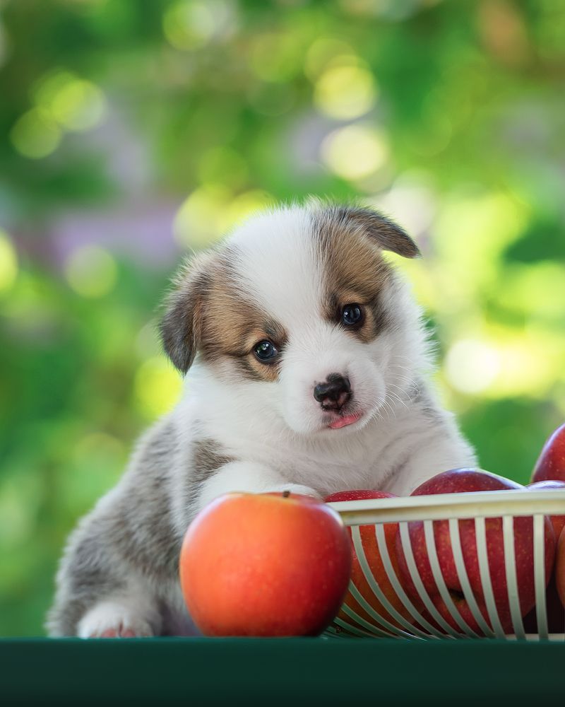 Photograph by Олег Гаричкин