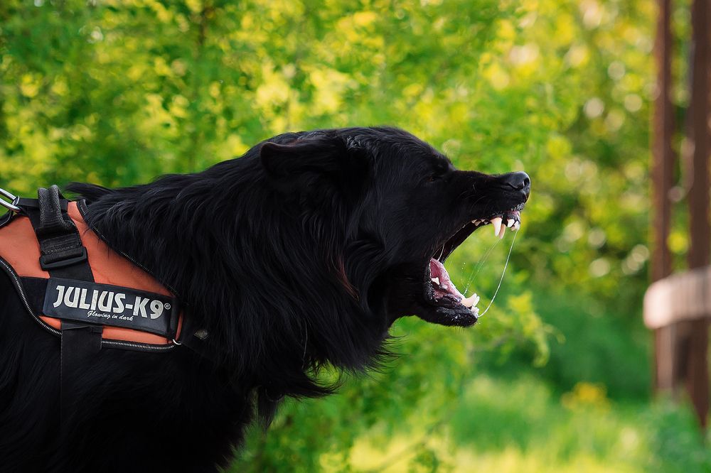 Photograph by Олег Гаричкин