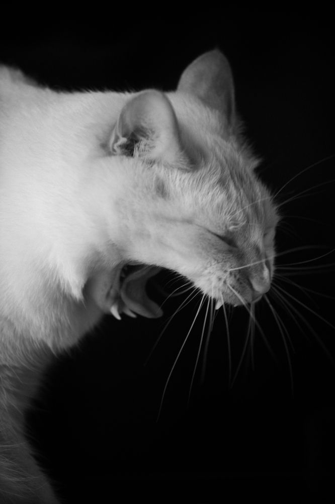 Photograph by Екатерина Степоненкова