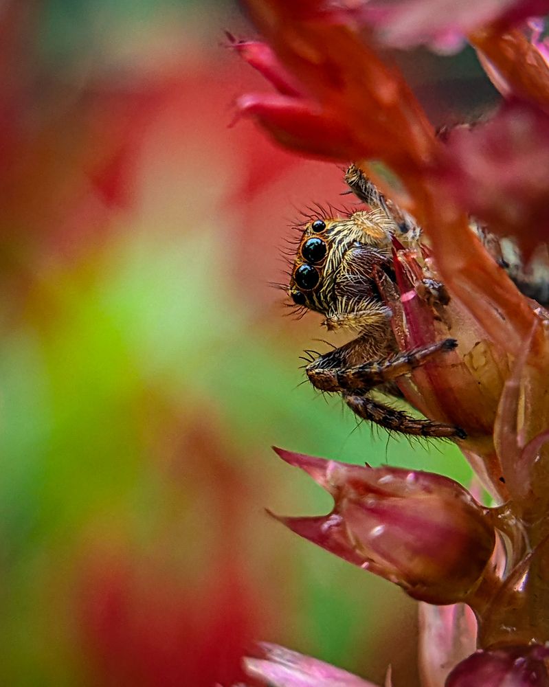 Photograph by Thomson Thomas