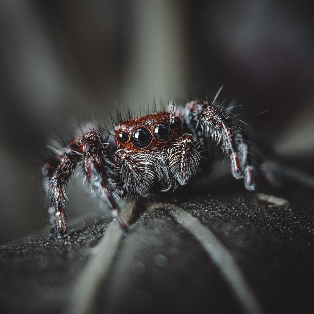 Photograph by Thomson Thomas