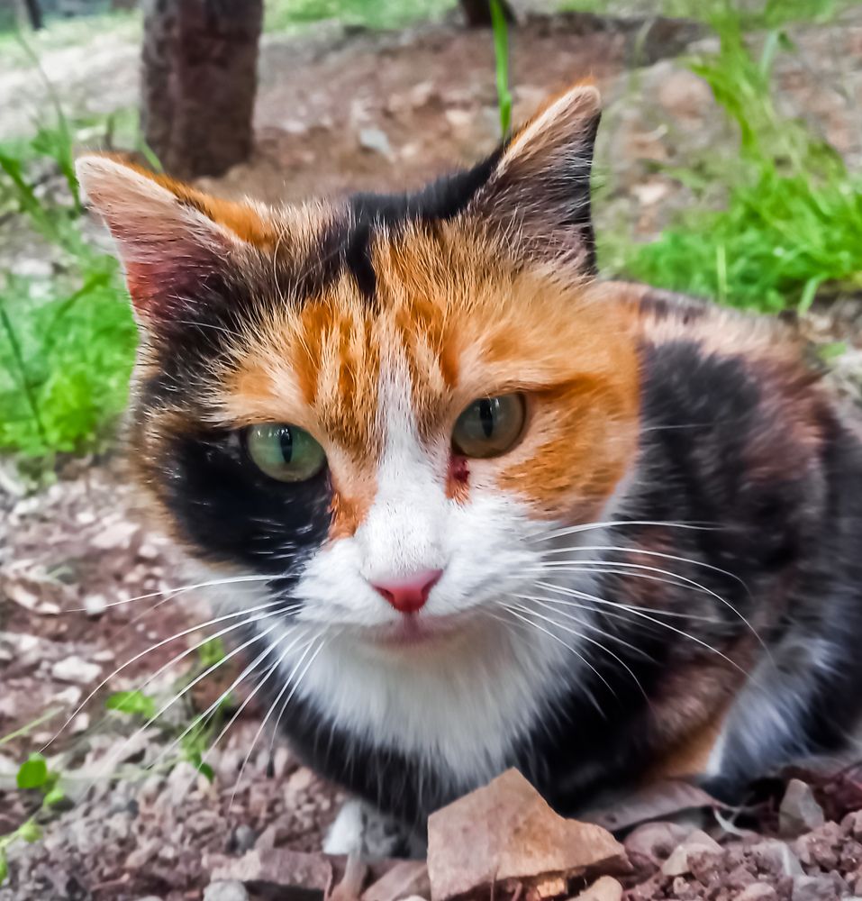 Photograph by mahdi ghanbari