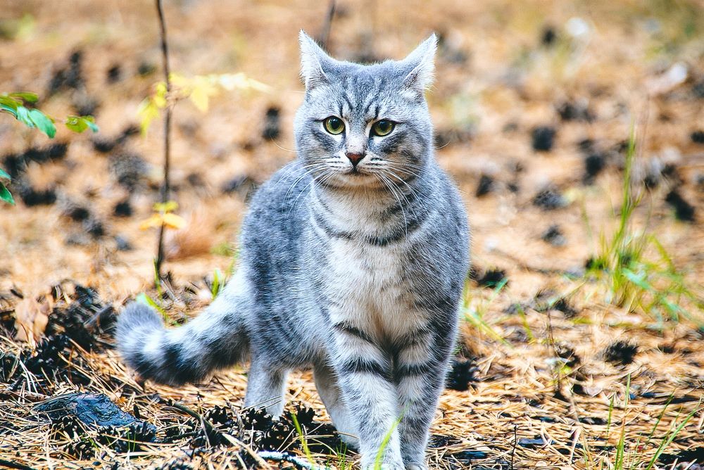 Photograph by Daniel Rain