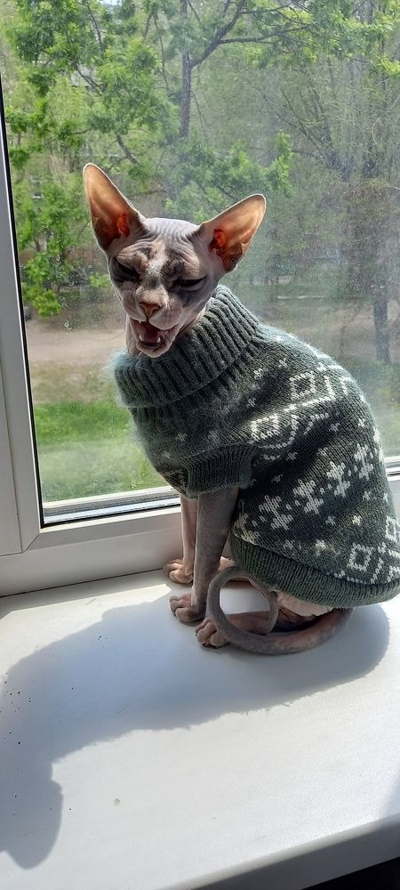 Photograph by Olga Александрова