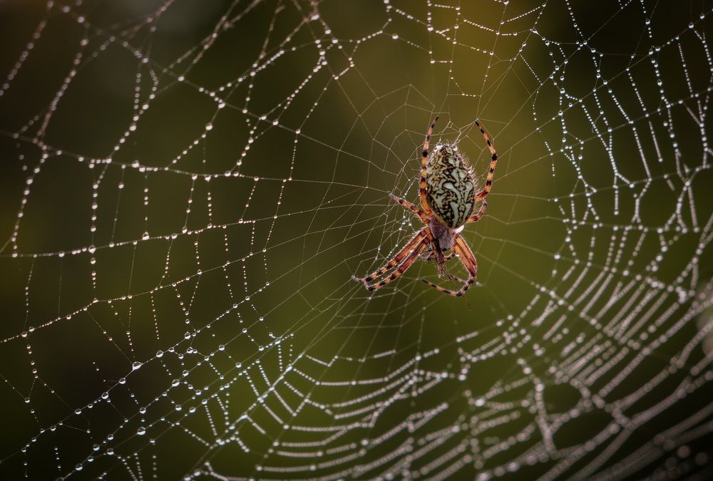 Photograph by Андреев Андрей