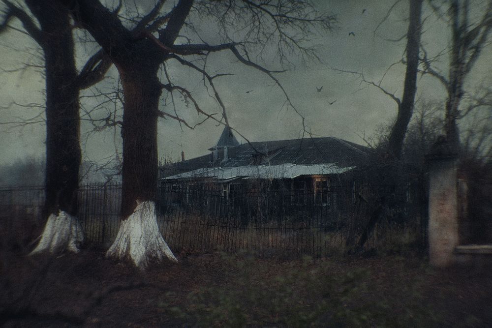 Photograph by Максим Филатов