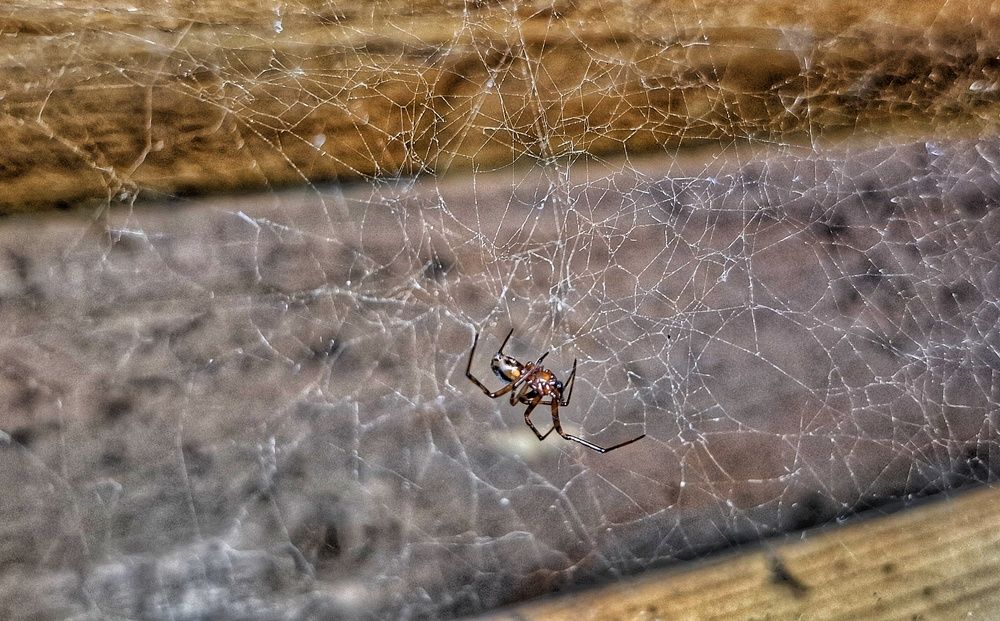 Photograph by Мария Андреева