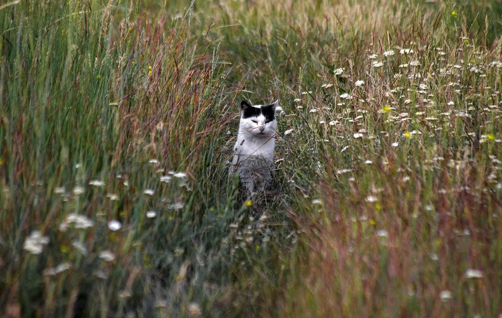 Photograph by Анатолий Святой