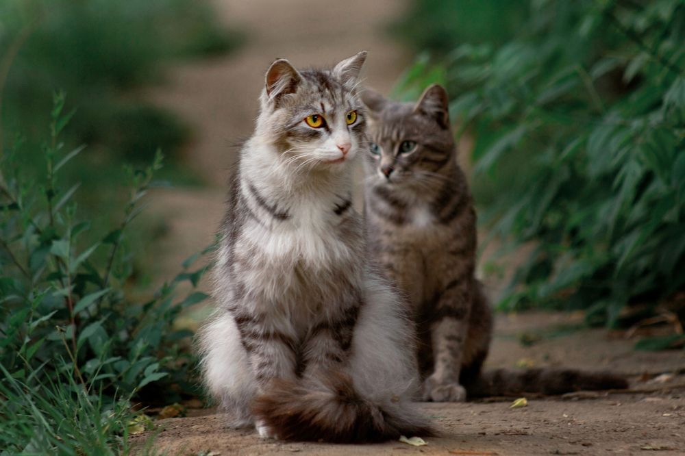 Photograph by Александр Канцур