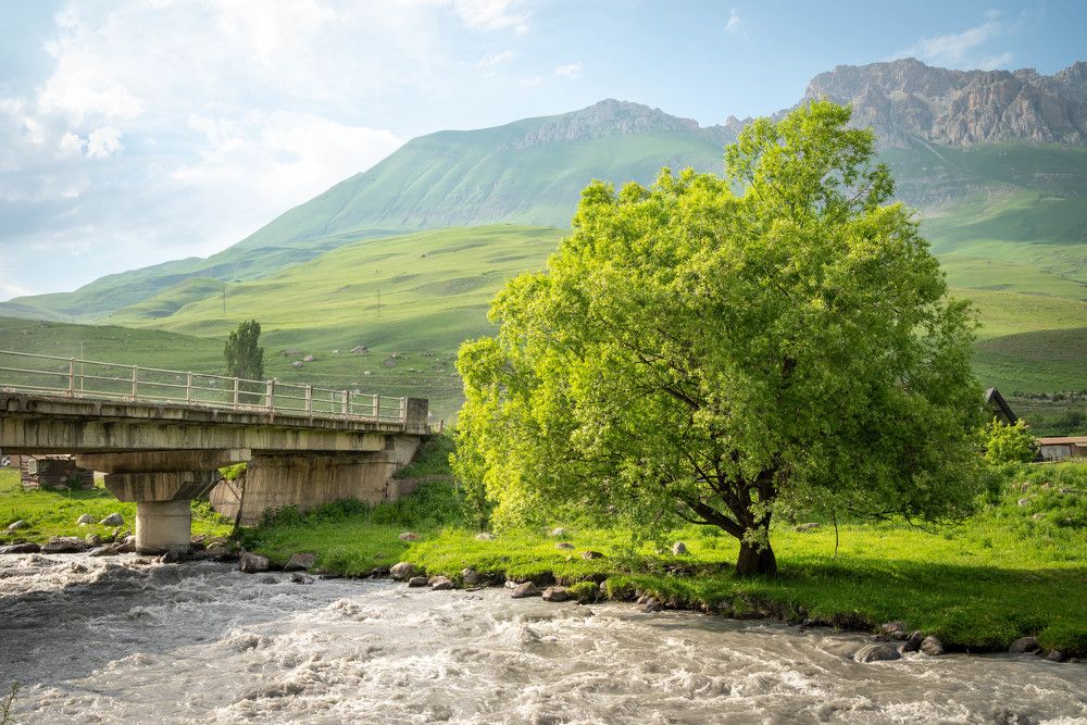 Фотография автора Илья Большаков