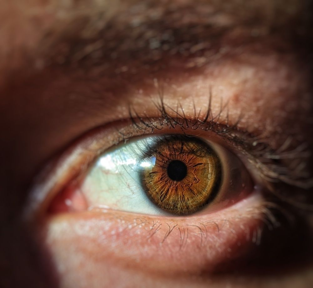 Photograph by Максим Скоробогатый