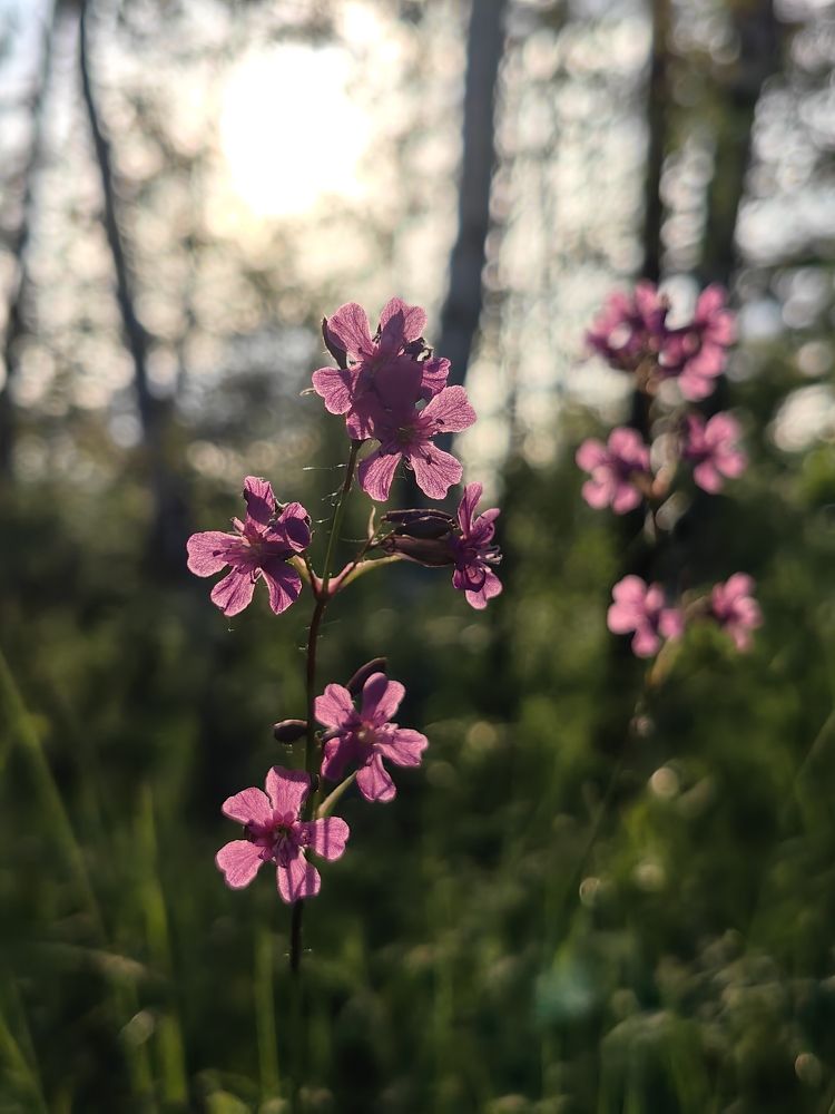 Photograph by Екатерина
