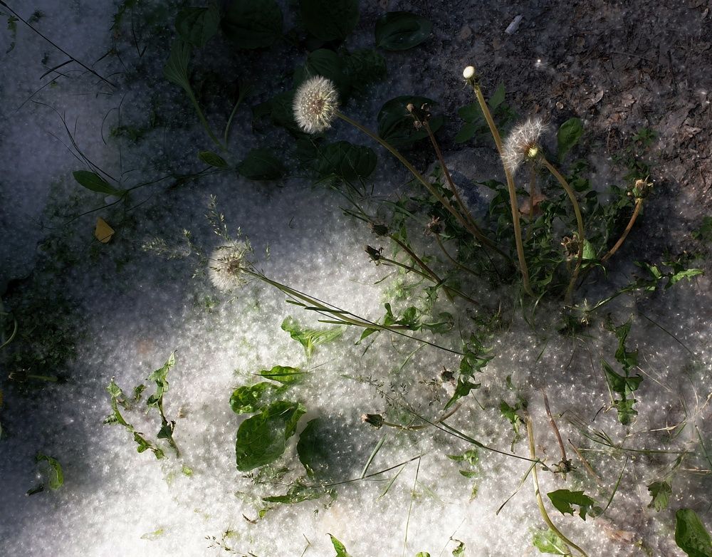 Photograph by Наталья Адалинская