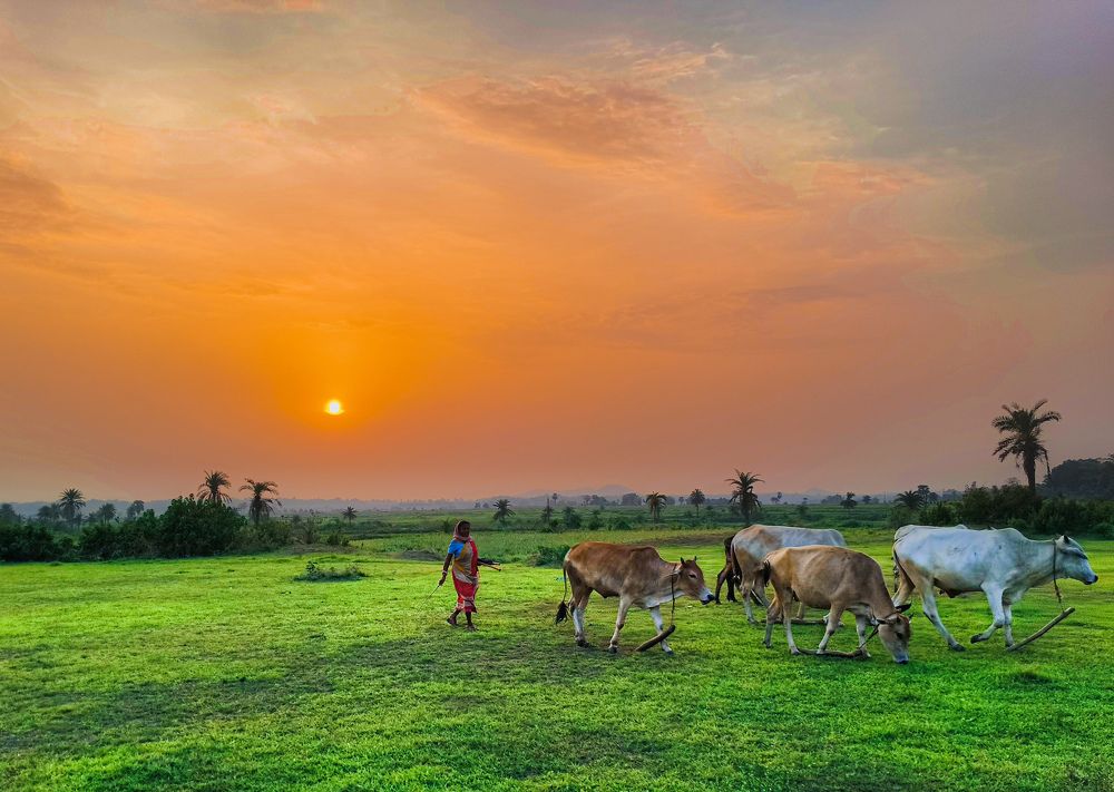 Фотография автора Aniket Layek