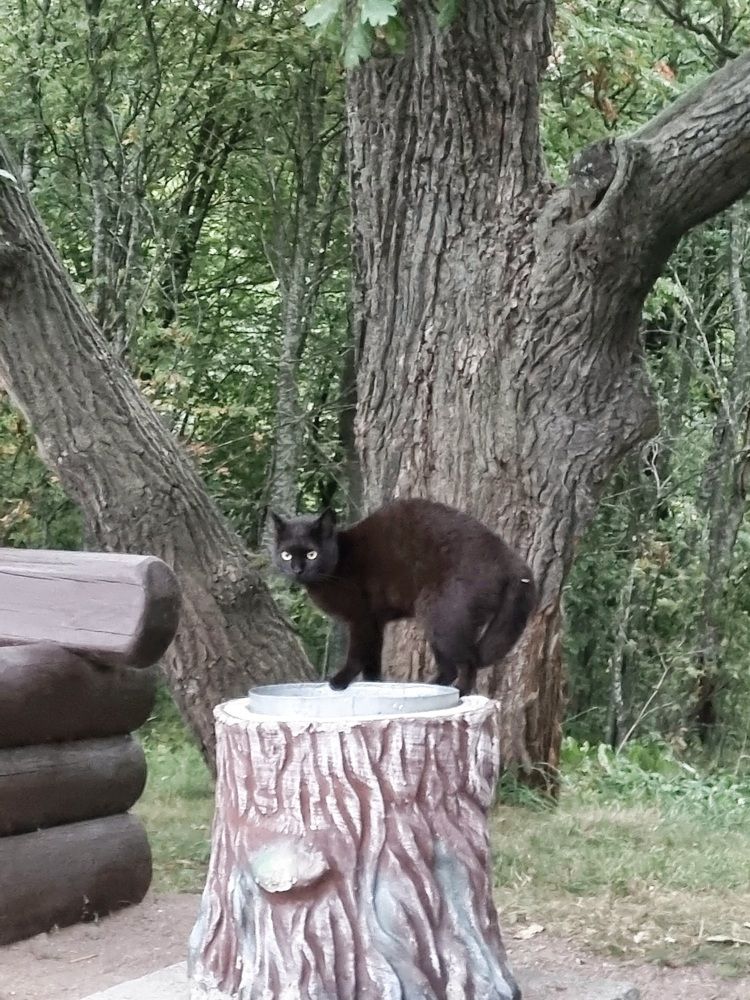 Photograph by Максим Иванов