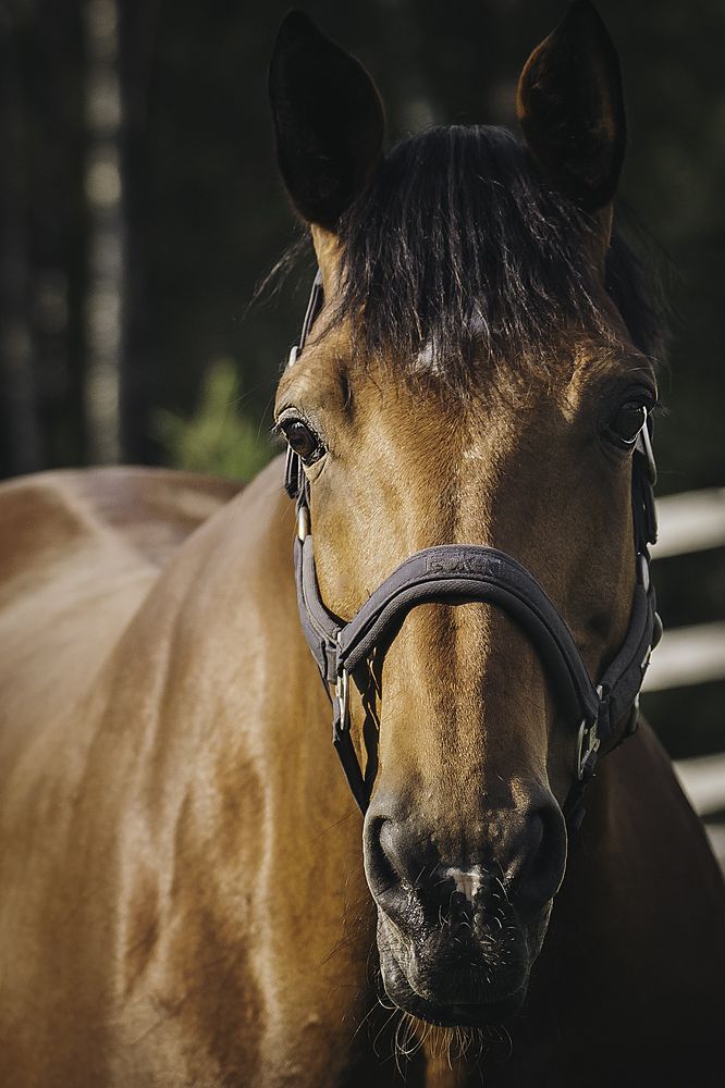 Photograph by Anna Sindikayeva