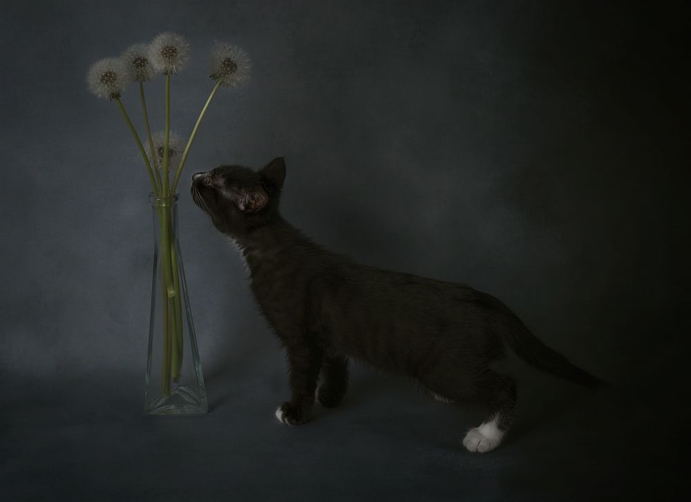Photograph by Александр Чазов