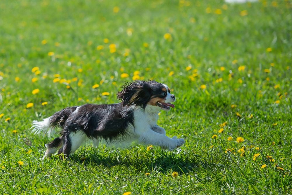 Photograph by Наталья Сотина